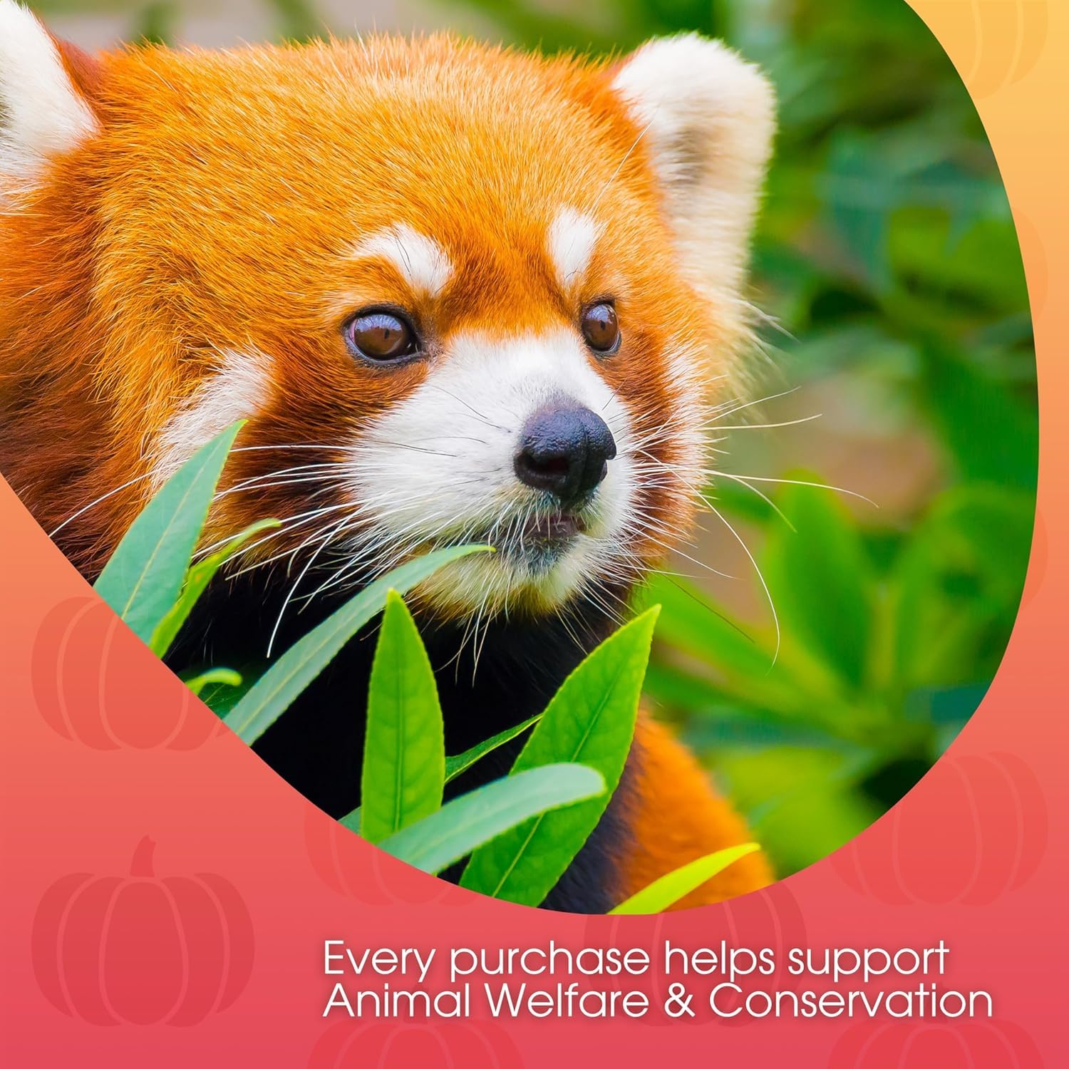 david-rio-signature-red-panda-pumpkin-chai-pulver-398g-herbst image 8