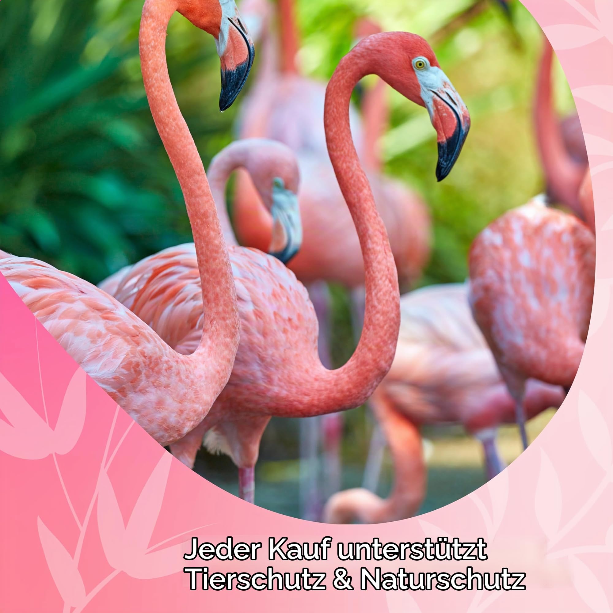 david-rio-signature-flamingo-vanilla-chai-pulver-1-52kg-zuckerfrei image 6