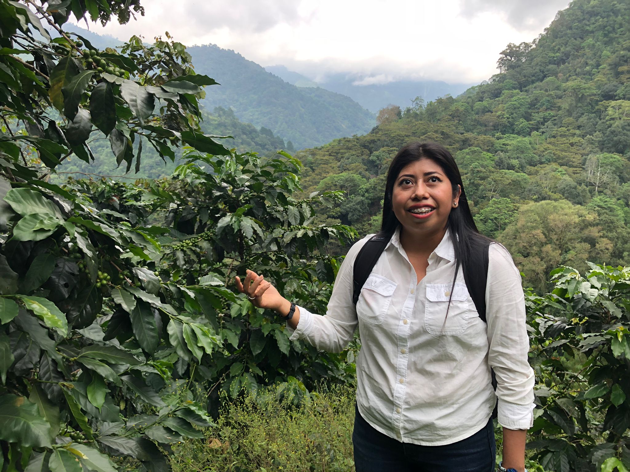cielito-manos-campesinas-kaffee-guatemala-bohnen-200-g-schokoladig image 5