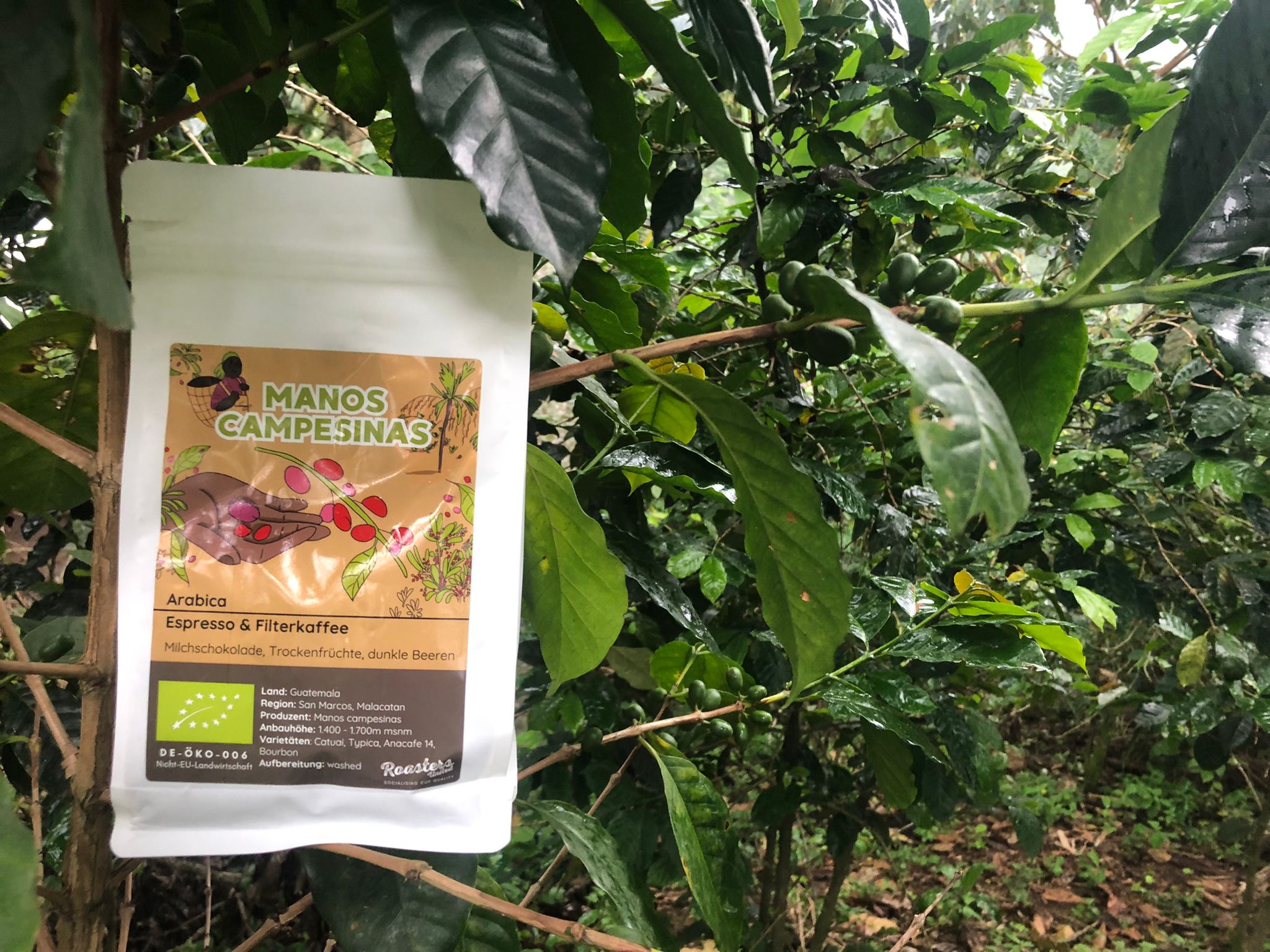cielito-manos-campesinas-kaffee-guatemala-bohnen-200-g-schokoladig image 4
