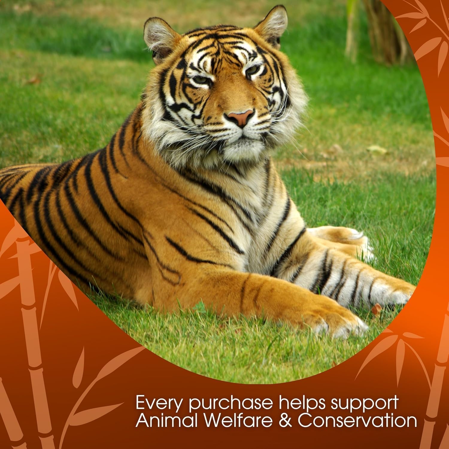 david-rio-signature-tiger-spice-chai-latte-pulver-398-g-dose image 6