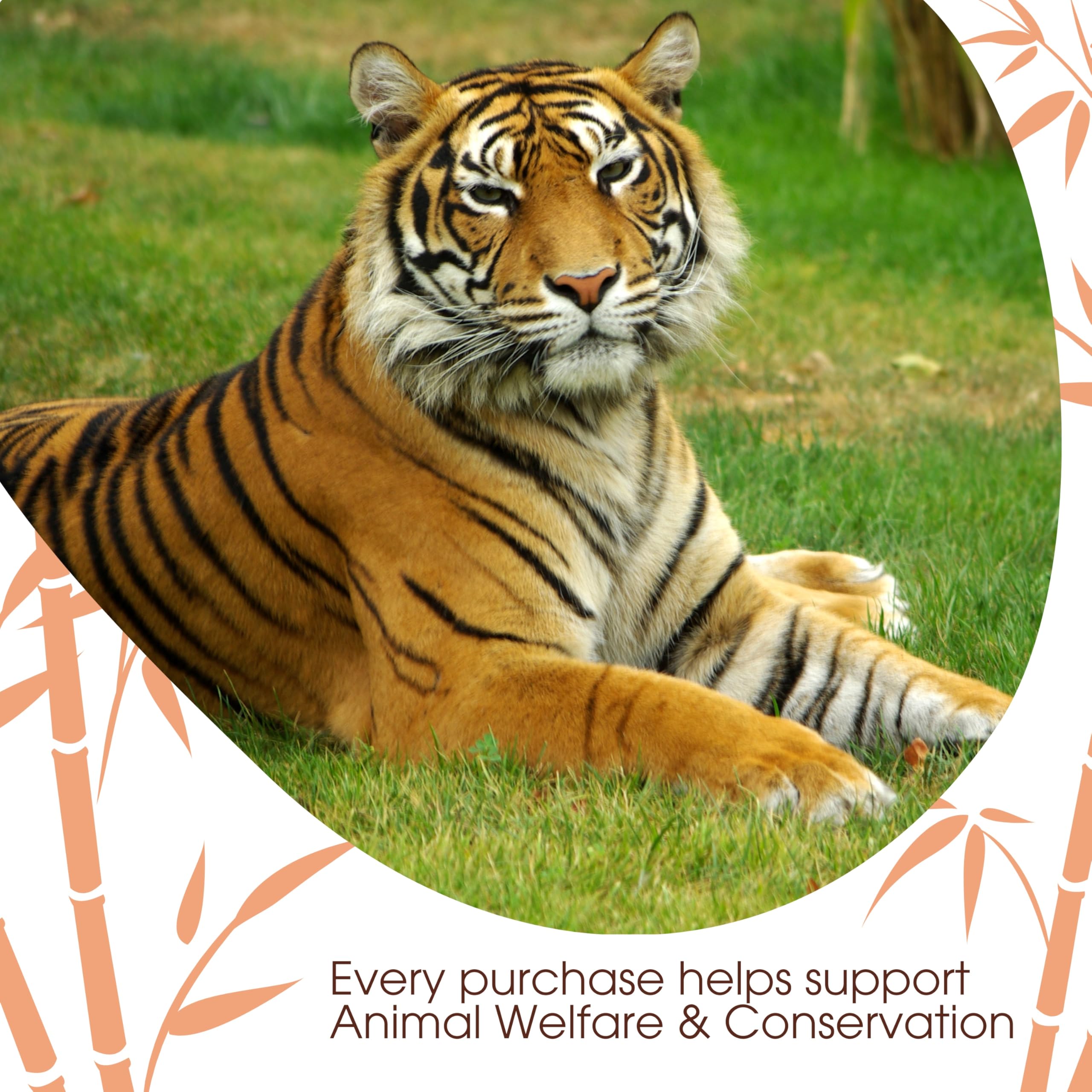david-rio-signature-tiger-spice-decaf-chai-pulver-398g-entkoffeiniert image 6