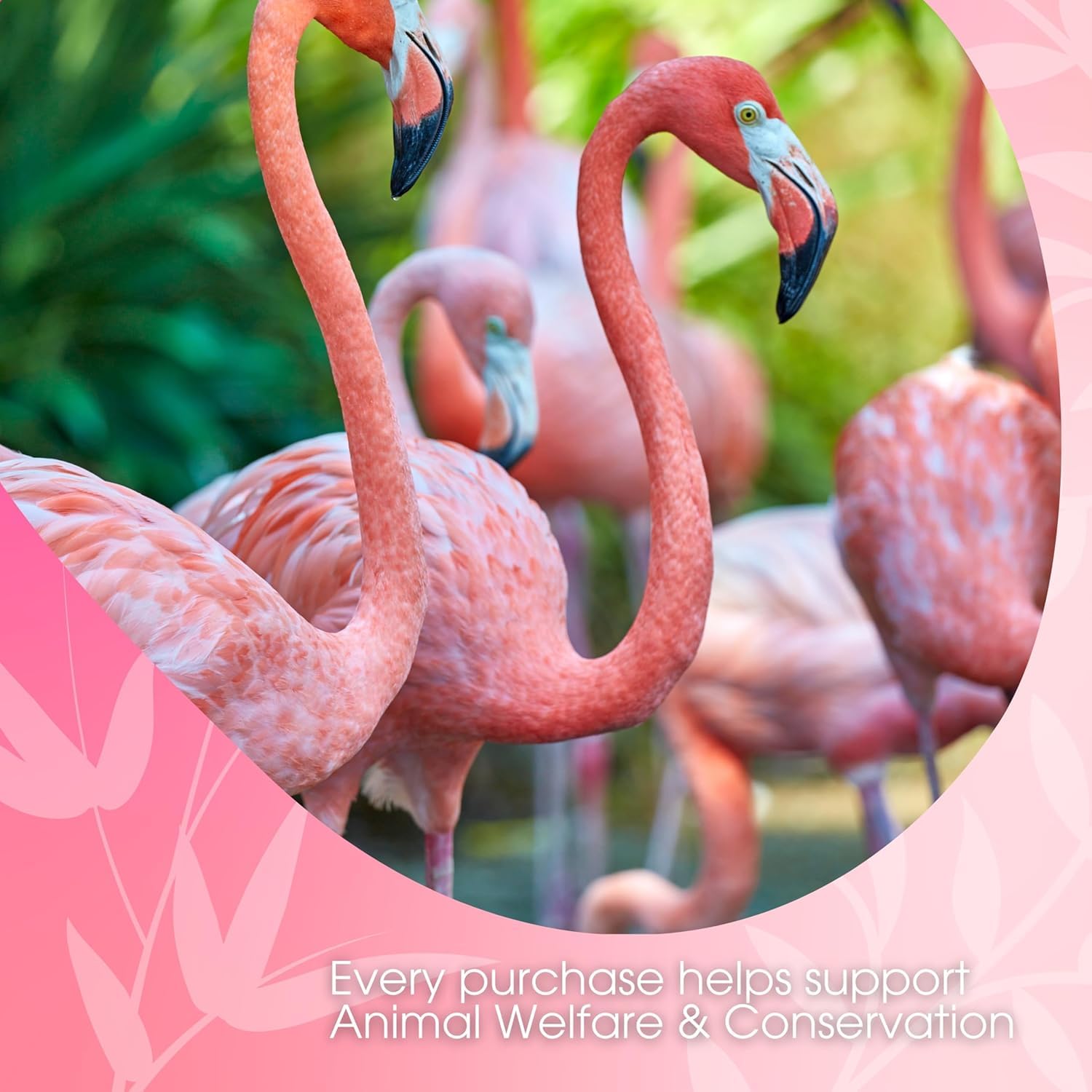 david-rio-flamingo-vanilla-chai-pulver-337g-entkoffeiniert image 5