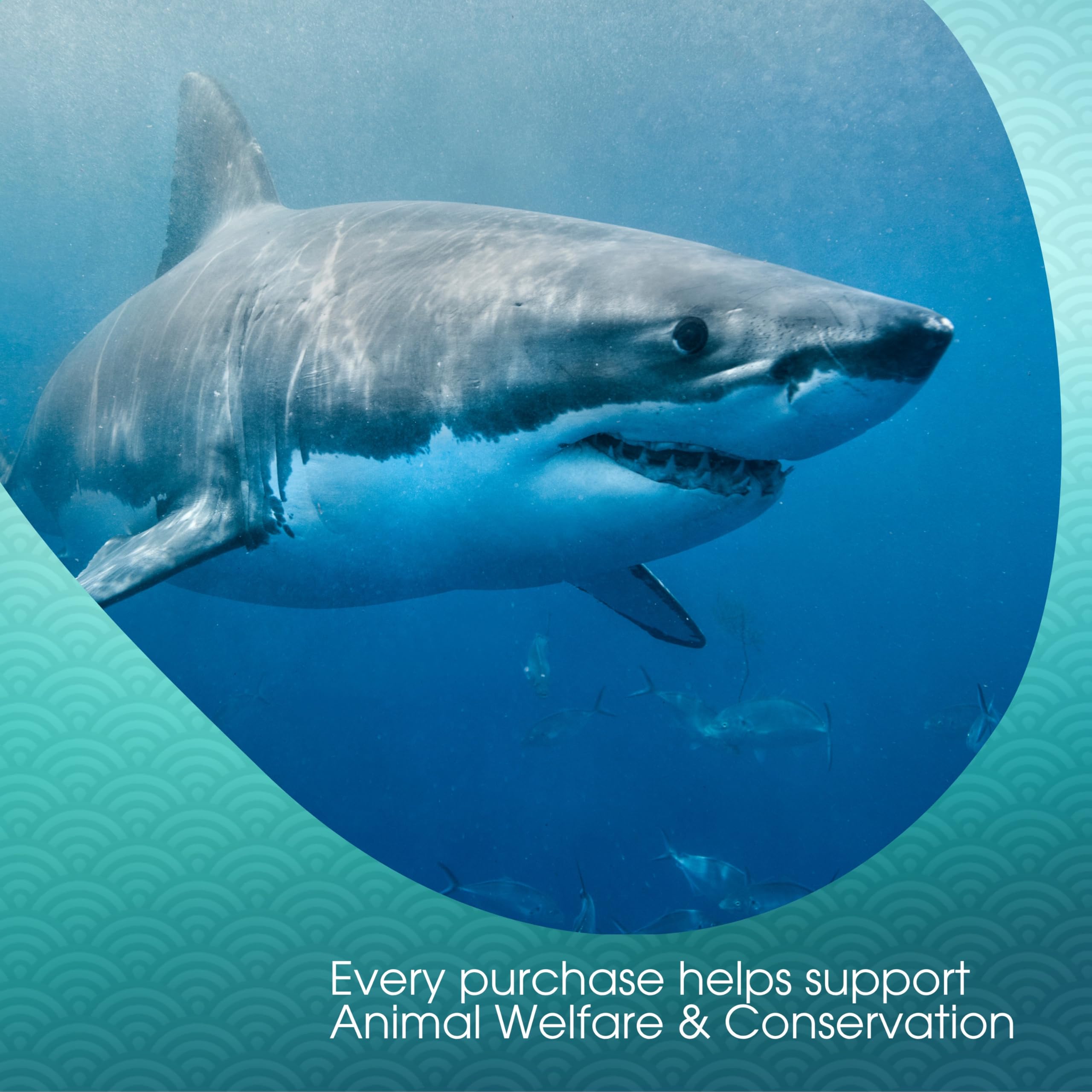 david-rio-signature-white-shark-chai-latte-pulver-1814-g-nachf-ller image 6